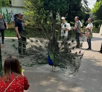 Wyjścia integracyjne uczestników CIS do Śląskiego Ogrodu Zoologicznego w Chorzowie